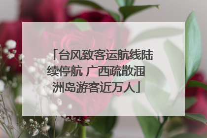 台风致客运航线陆续停航 广西疏散涠洲岛游客近万人
